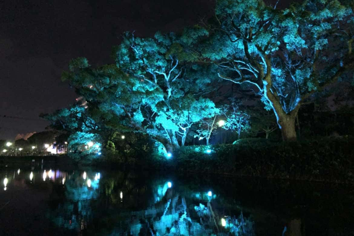 ネイキッド 佐賀県 佐賀城公園北側を幻想的な空間へ お濠のライトアップで夜のにぎわいを創出 Drive Nippon 国内観光情報ウェブマガジン