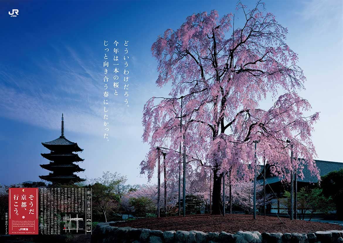 そうだ 京都 行こう 年春 私のお気に入り 京都の春篇 キャンペーン開始 Drive Nippon 国内観光情報ウェブマガジン