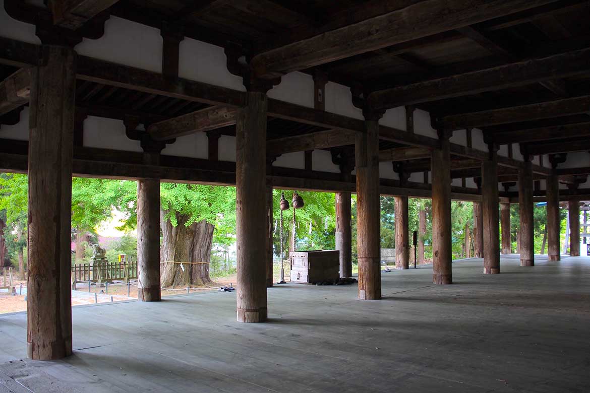茅葺屋根の拝殿を彩る新緑の大イチョウ「新宮熊野神社」【喜多方市】