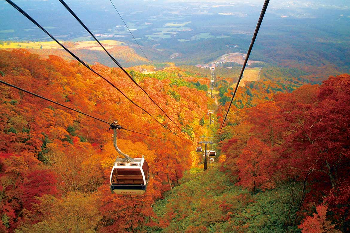 深紅に染まる秋の那須高原。マウントジーンズ那須「紅葉那須ゴンドラ」運行開