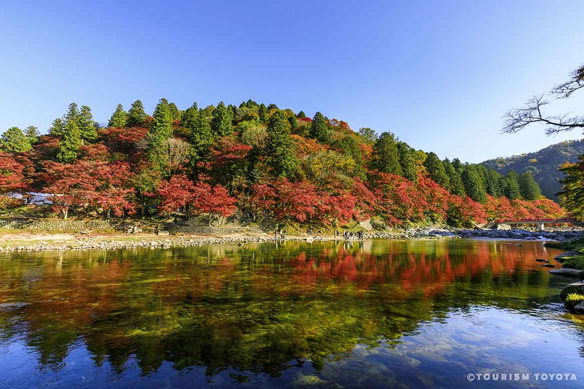 まもなく豊田市の紅葉の見頃到来！おすすめしたい豊田市の紅葉と四季桜の名所