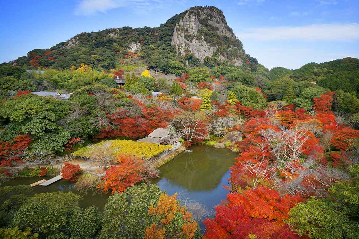 チームラボと日本一のサウナによる「チームラボ 廃墟と遺跡：淋汗茶の湯」、紅葉まつりも同時開催中