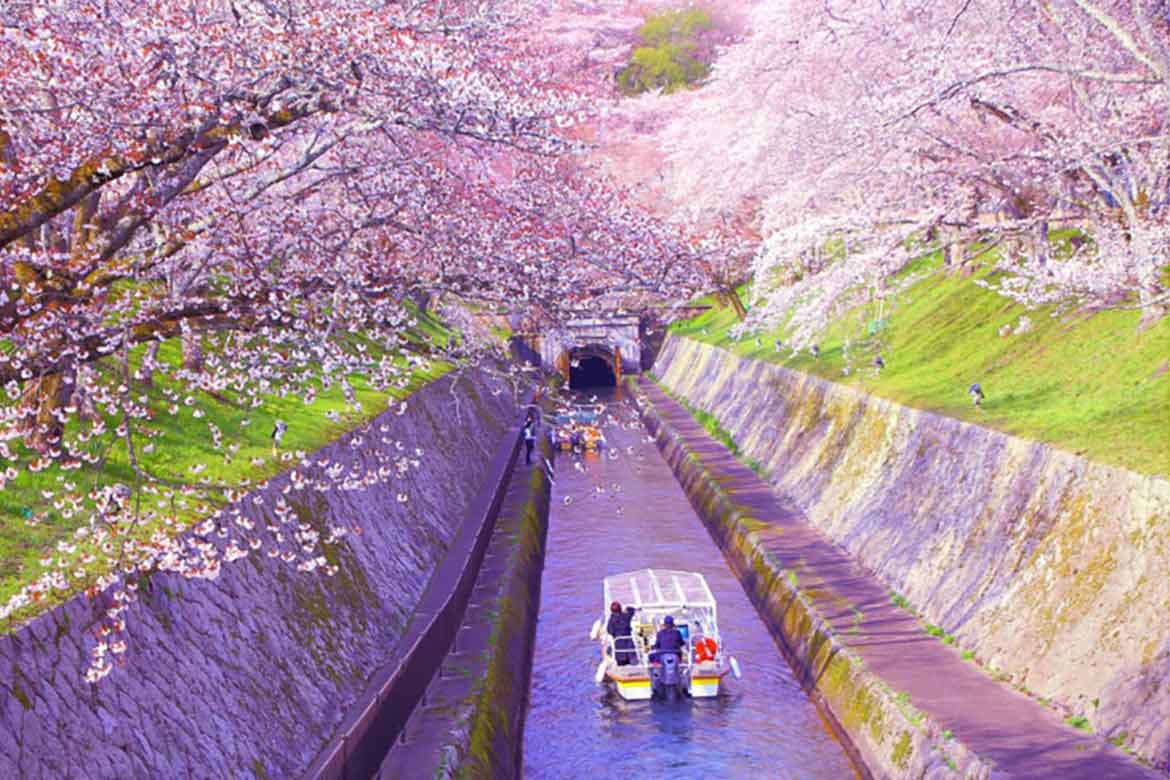 風情ある水路から春の美景を望む。「びわ湖疏水船」2023年春シーズン予約受付開始