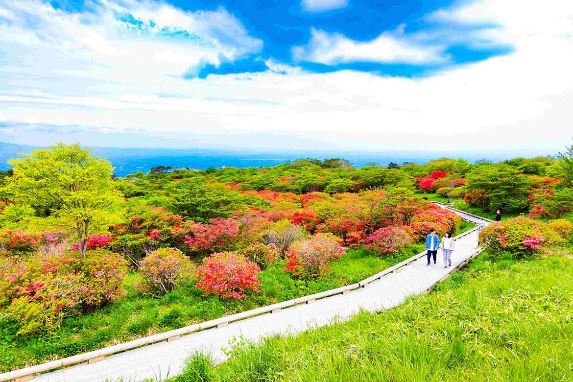 新緑と20万本のつつじの朱色が映える絶景！休暇村那須「「モテナス つつじdeさんぽ」つつじdeさんぽ」