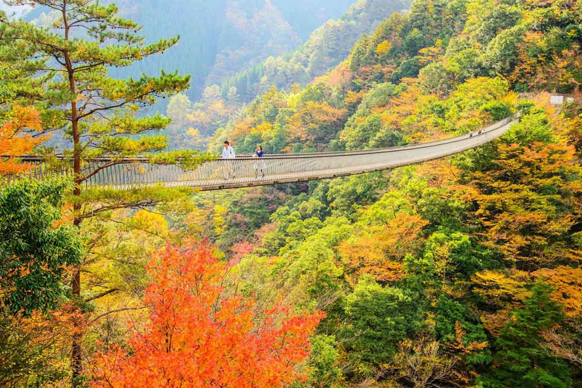 秘境の紅葉祭！熊本県八代市にて「五家荘紅葉祭」11/30まで開催中