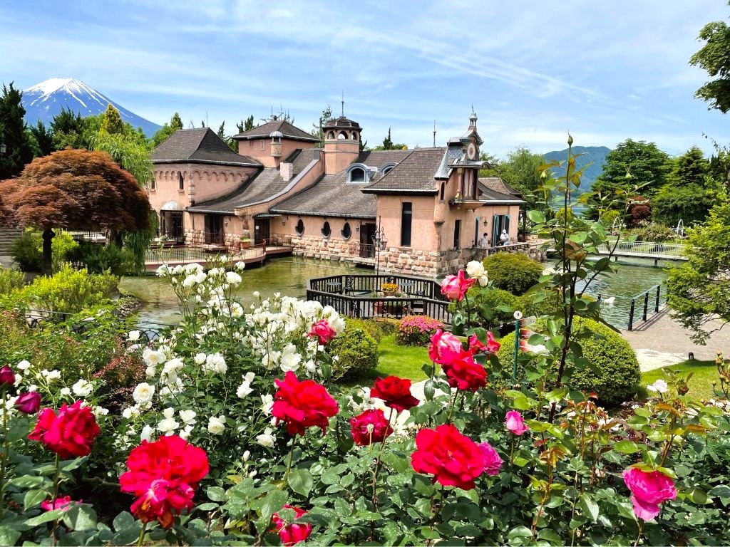 6月は艶やかなバラと富士山が競演！「河口湖音楽と森の美術館」