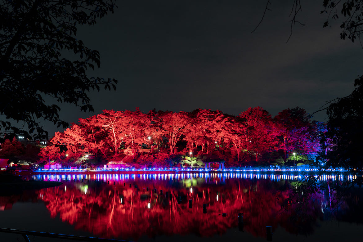 ライトアップやデジタルアートで楽しむ！ 千葉公園にて、夜のアートフェス「YohaS 2024」6/7・6/8開催