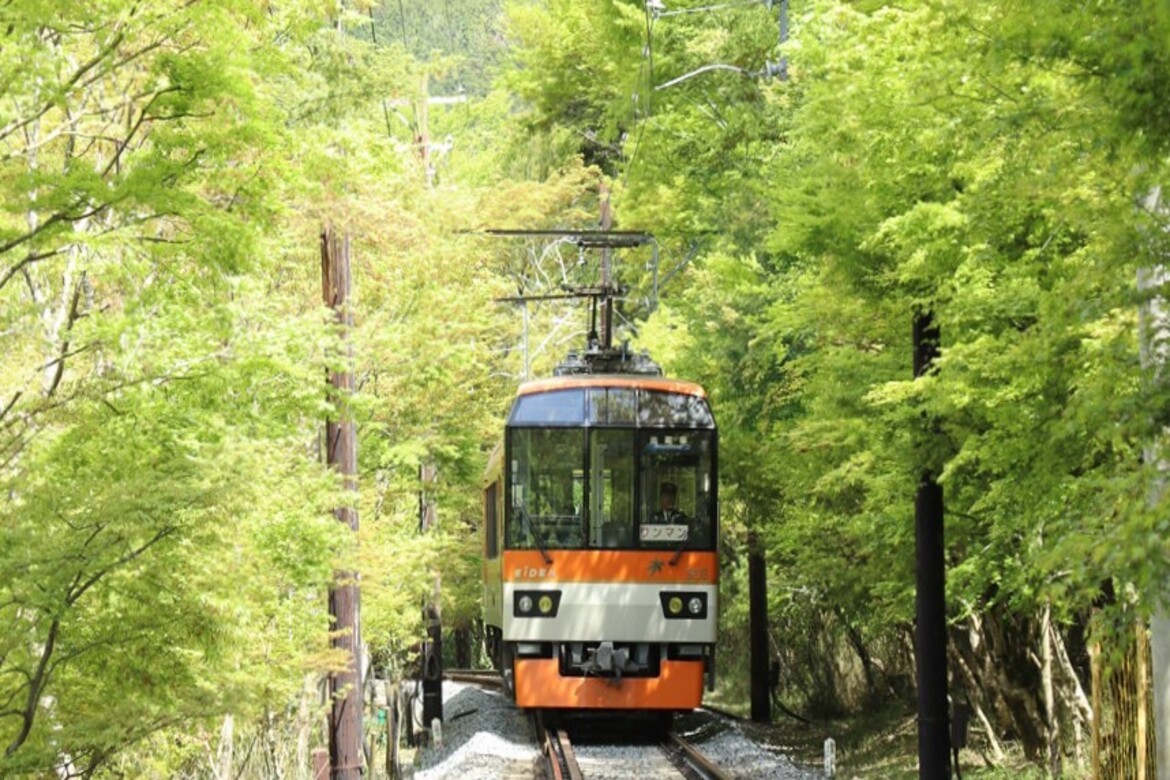 京都、もみじのトンネルを抜けて清涼感たっぷりの洛北へ「青もみじのトンネル」運行中