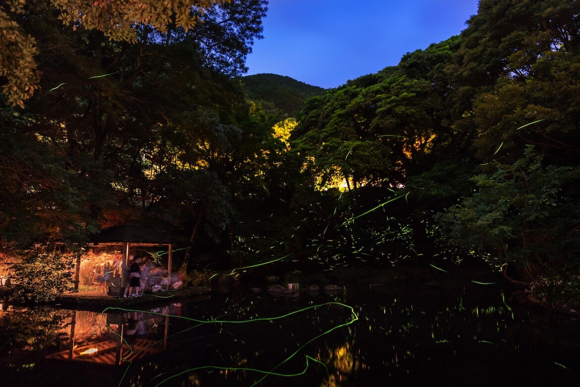 静岡の初夏を彩る、水面に映る幻想的なほたる火「ほたる観賞の夕べ」5/31より開催