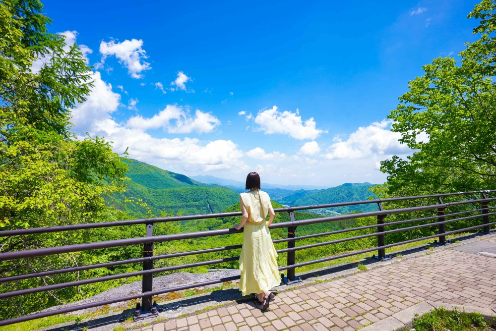 「いろは坂」で絶景ドライブ