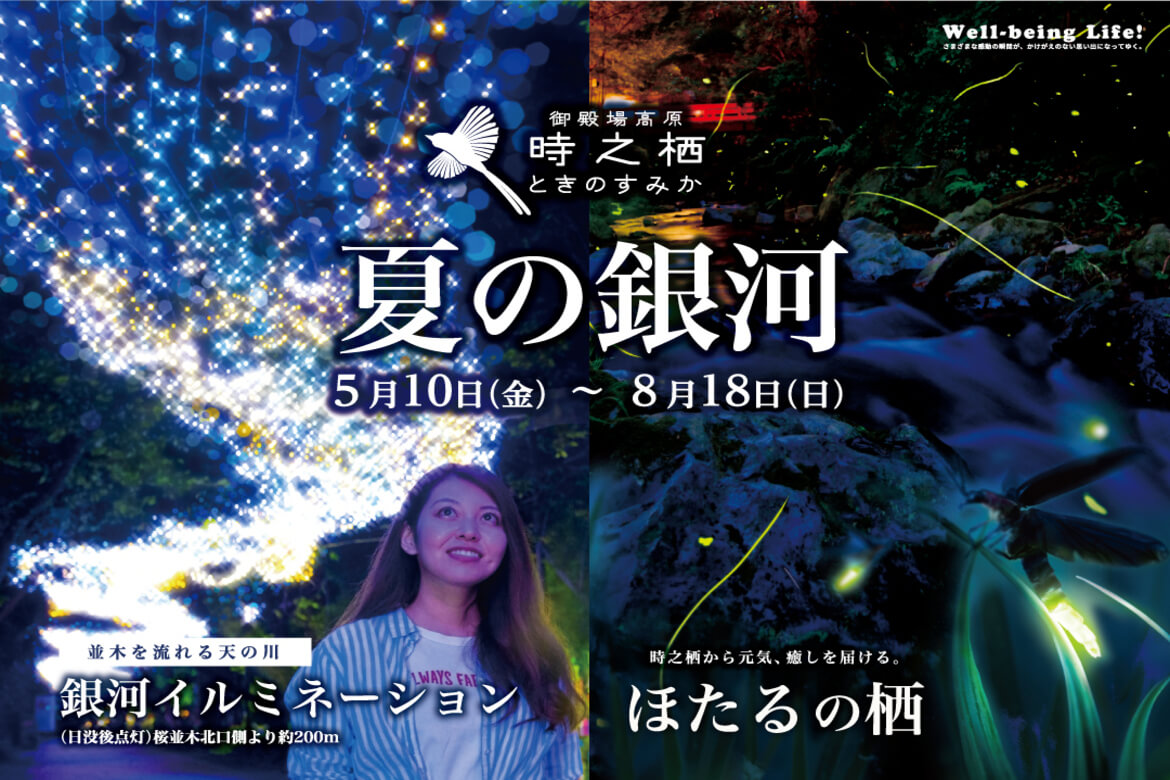 静岡御殿場「御殿場高原 時之栖」にて、初夏を涼しげに彩る『夏の銀河』開催中