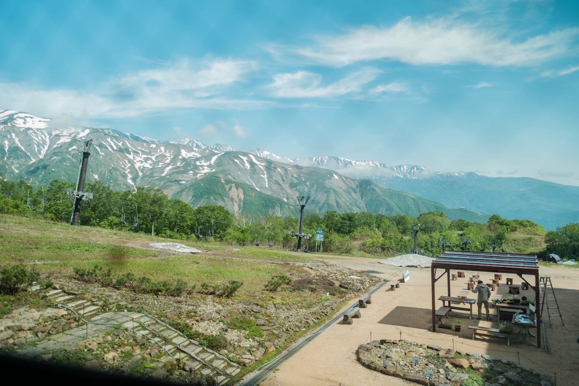 標高1,515mに広がる夏の大自然を満喫！長野・白馬五竜がグリーンシーズンの営業を開始