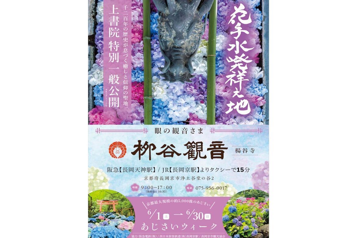 京都最大規模のあじさい約5,000株が咲き誇る「柳谷観音あじさいウイーク」6/1～6/30まで開催