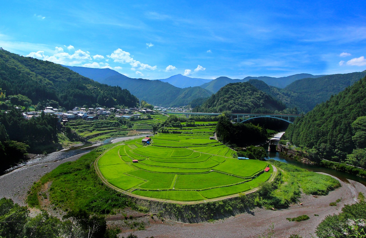 3. 四季によって表情を変える美しい棚田「あらぎ島」