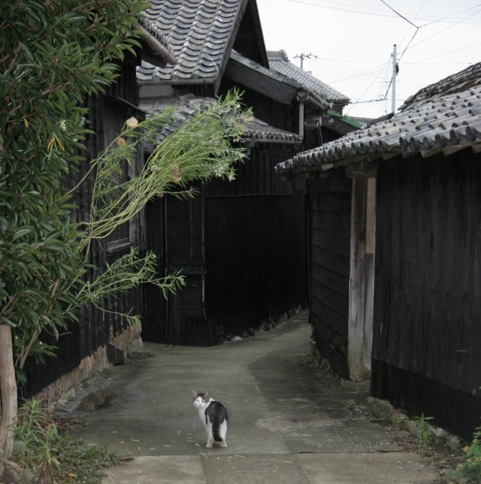 「三河湾の黒真珠」と呼ばれる、黒壁の西集落 