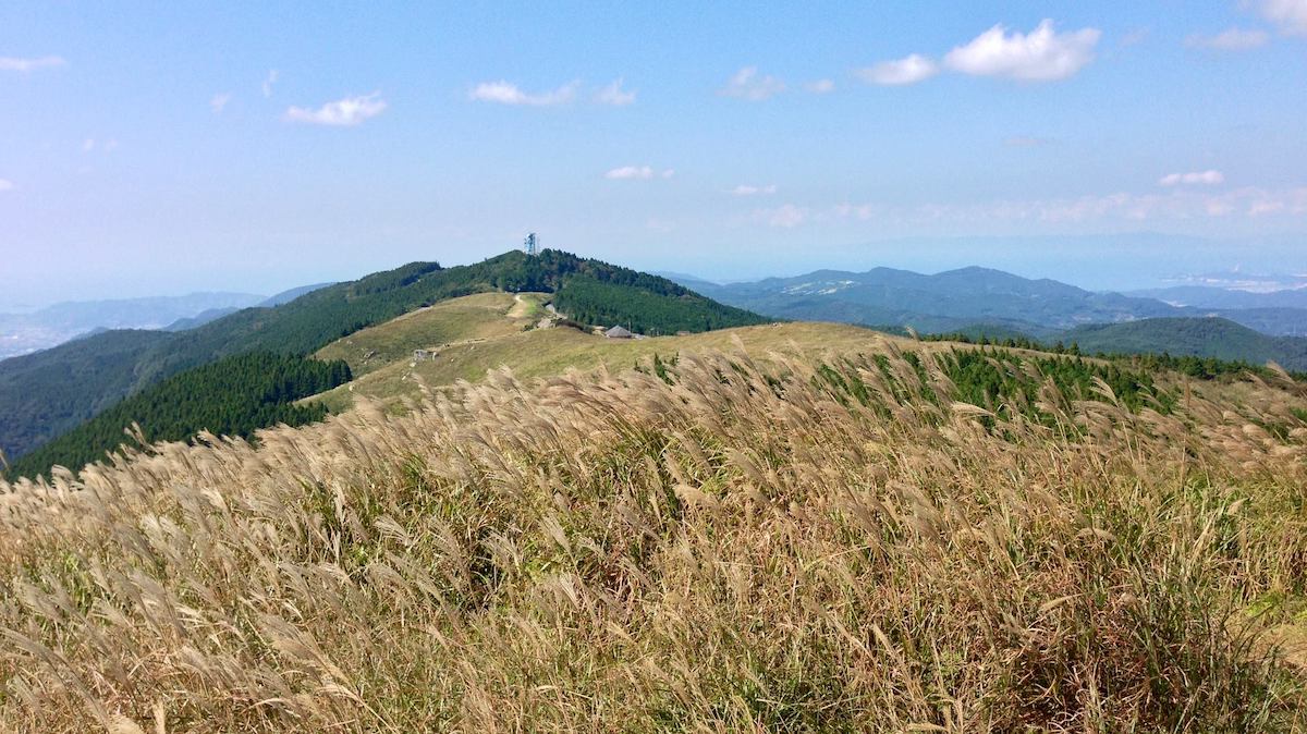 4. 標高870mに広がる四季折々の絶景「生石高原（おいしこうげん）」