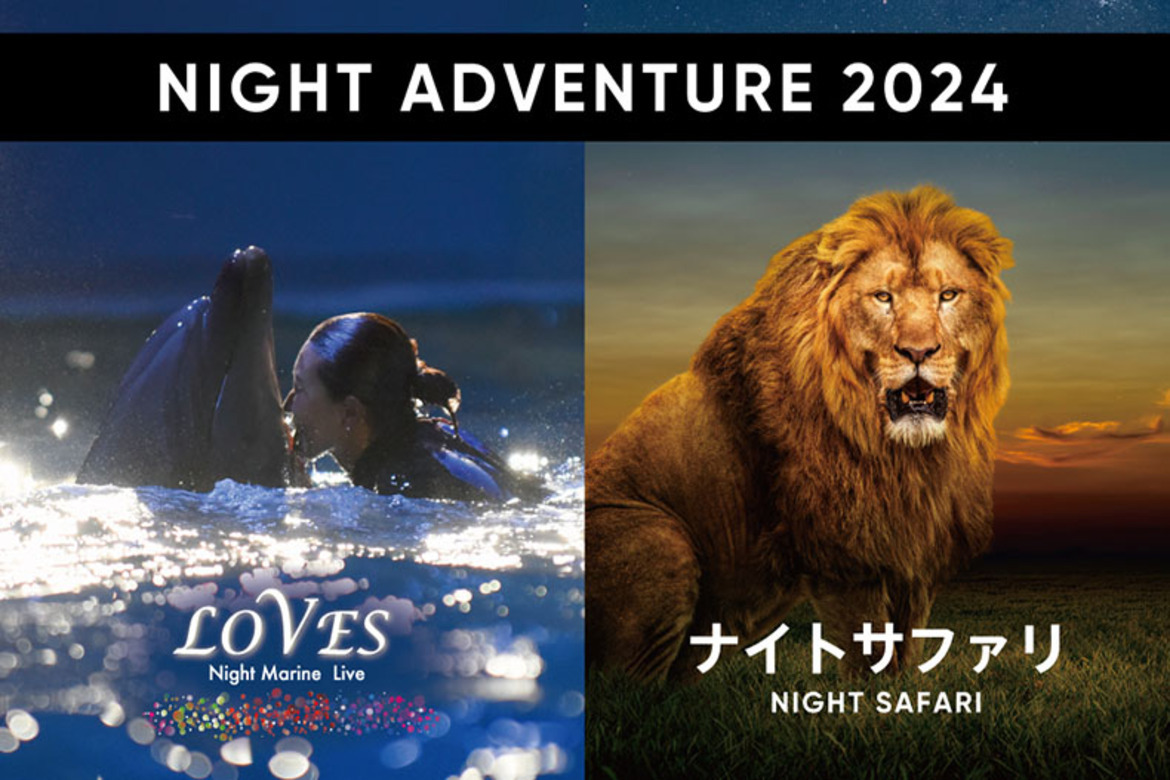 和歌山・南紀白浜「アドベンチャーワールド」にて『NIGHT ADVENTURE 2024』7/26より開催