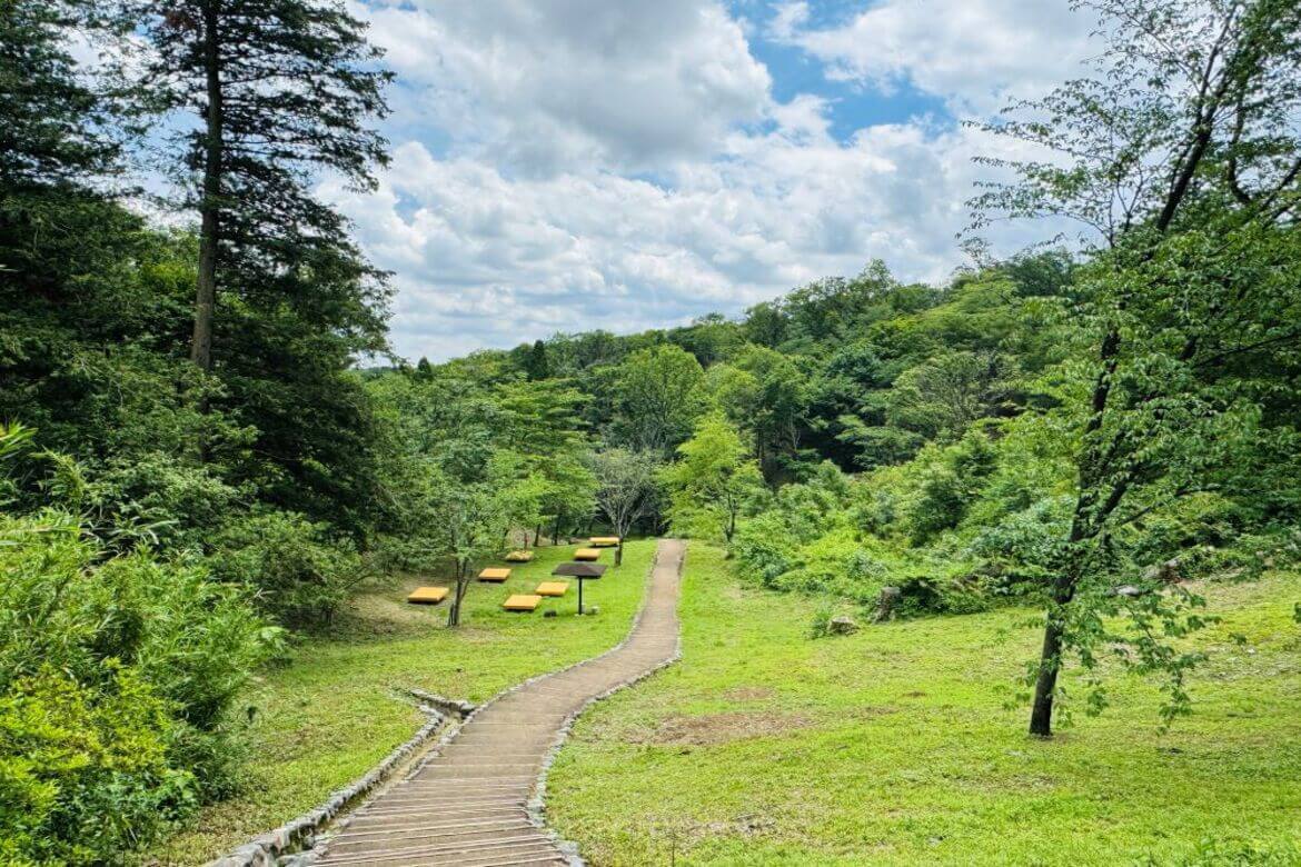 都会のオアシスで自然を満喫「里地里山体験！身近なところに別世界が！～平山城址公園・宮嶽谷戸・堀之内寺沢里山公園ウォーキング～」7/13開催