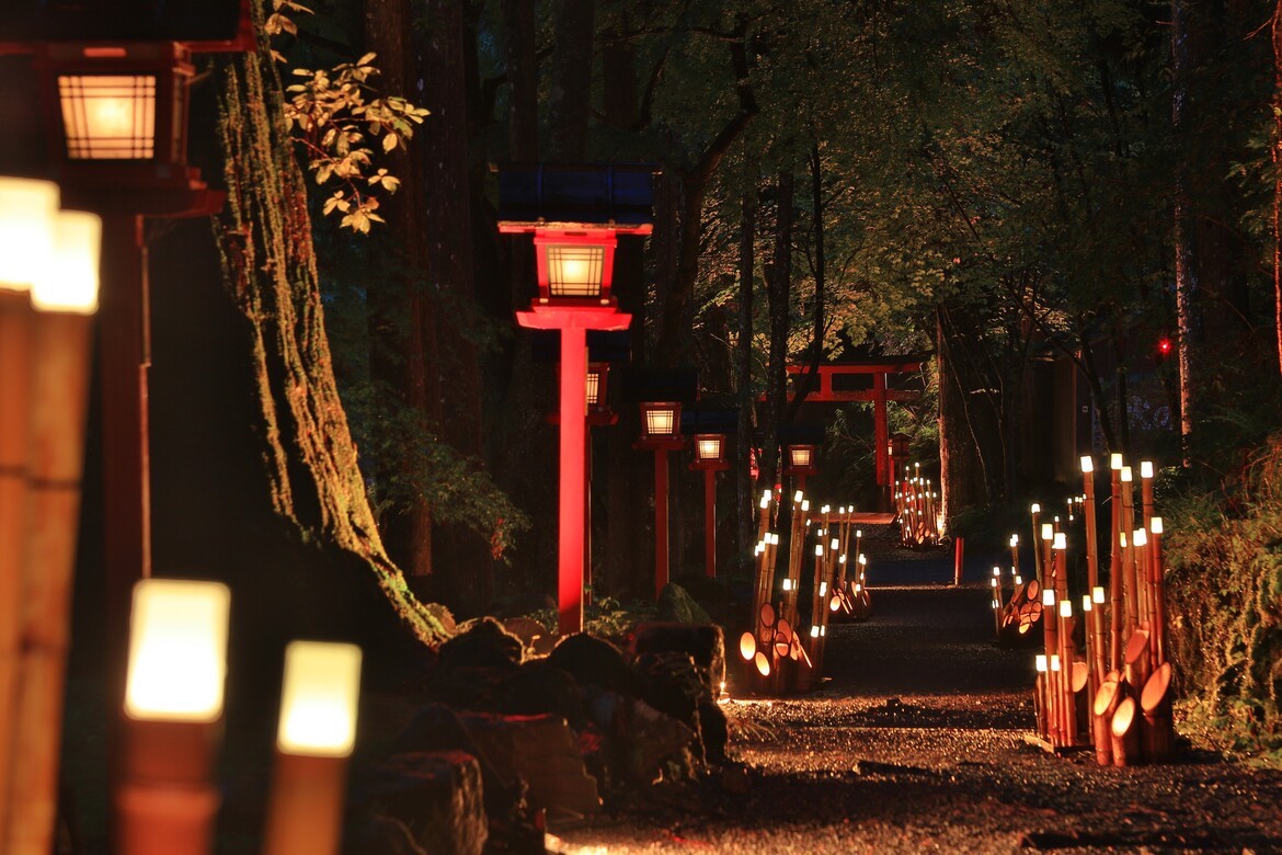 京都「貴船神社」が竹灯籠の灯りに包まれる、『ひかりの京都』開催中