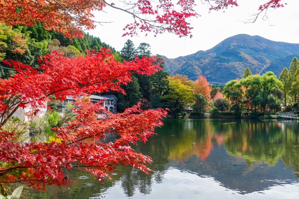 大分で露天風呂付き客室のある旅館10選！由布院・別府エリアが人気