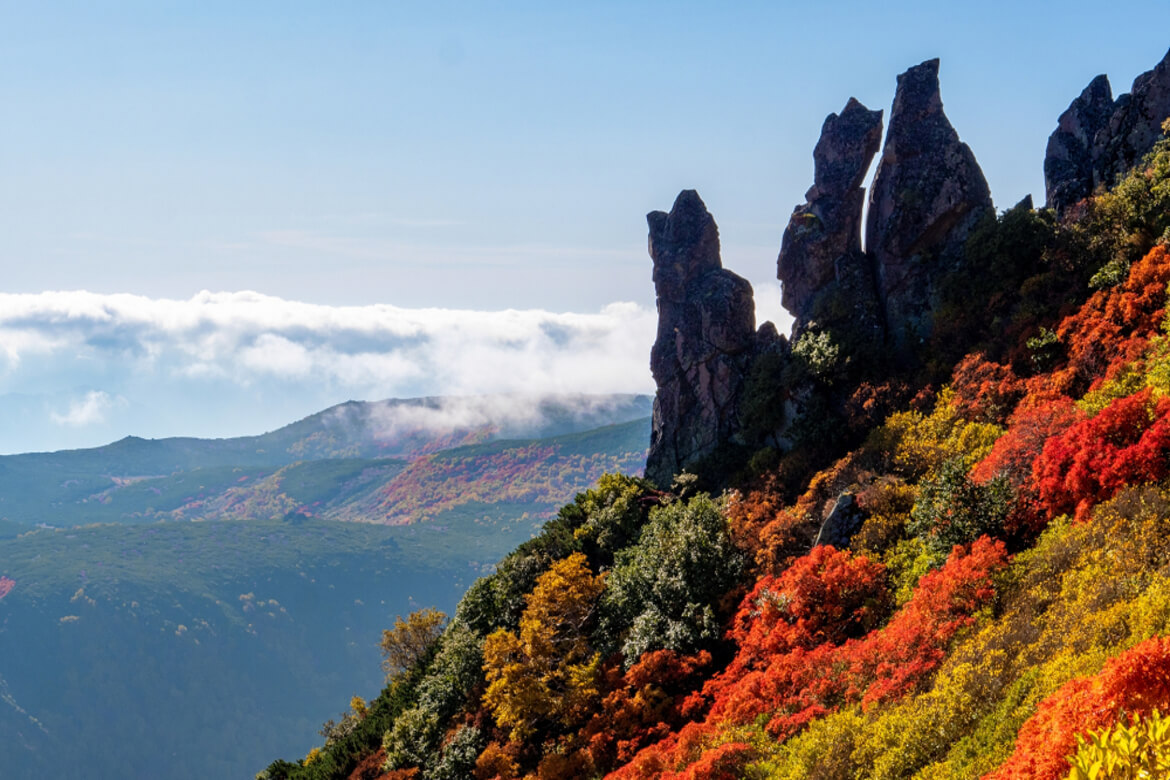 北海道・層雲峡の秋の風物詩「奇跡のイルミネートⅦ」9/14〜10/13開催