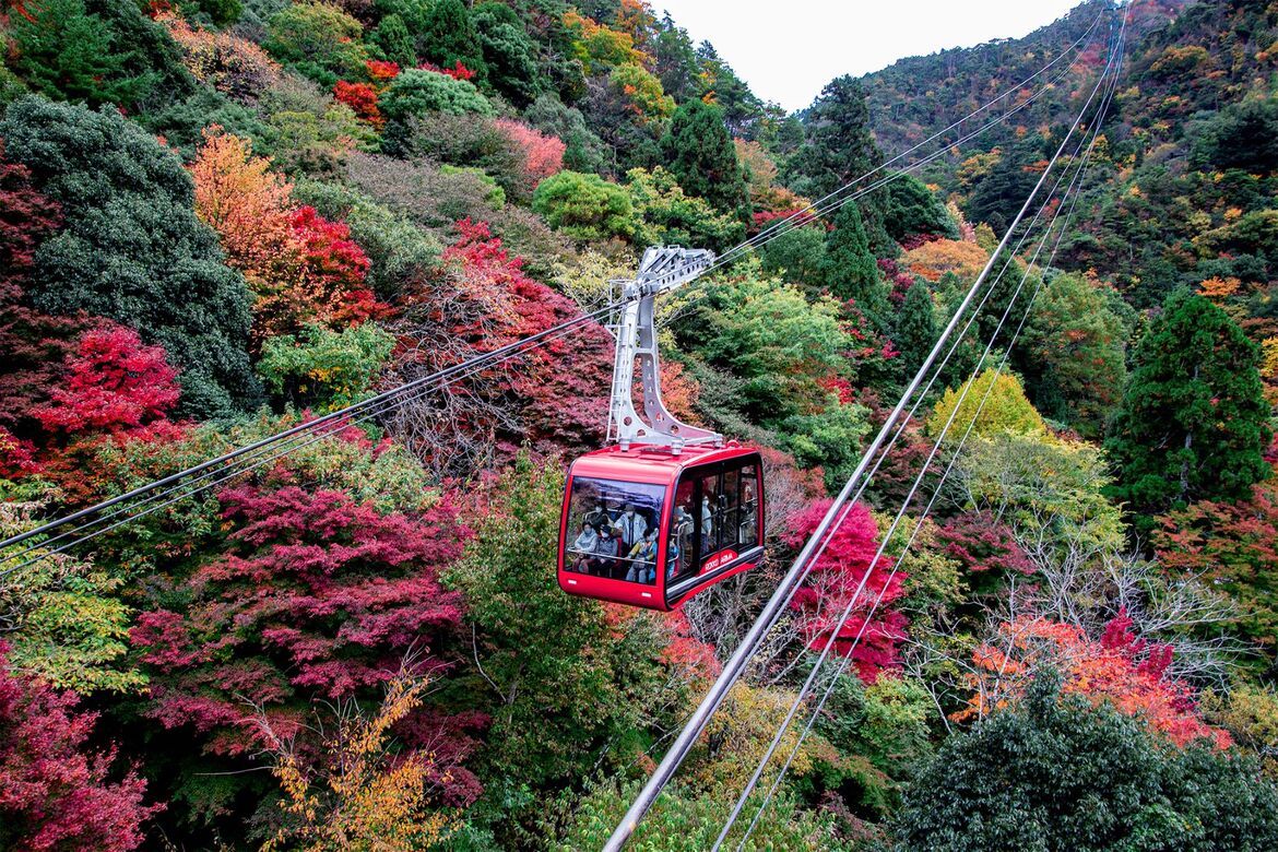 【兵庫県】空から眺める六甲山と紅葉「六甲有馬ロープウェー」