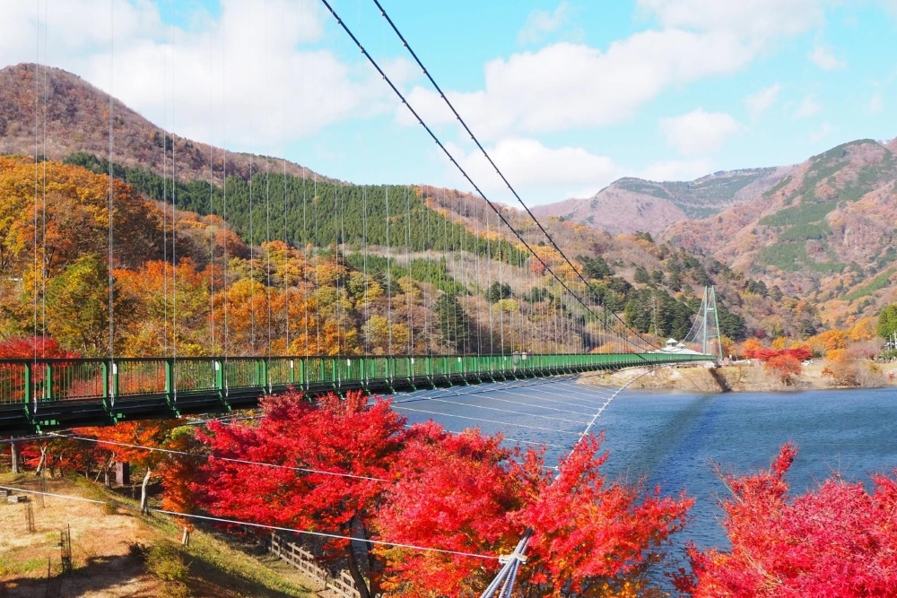 もみじ谷大吊橋