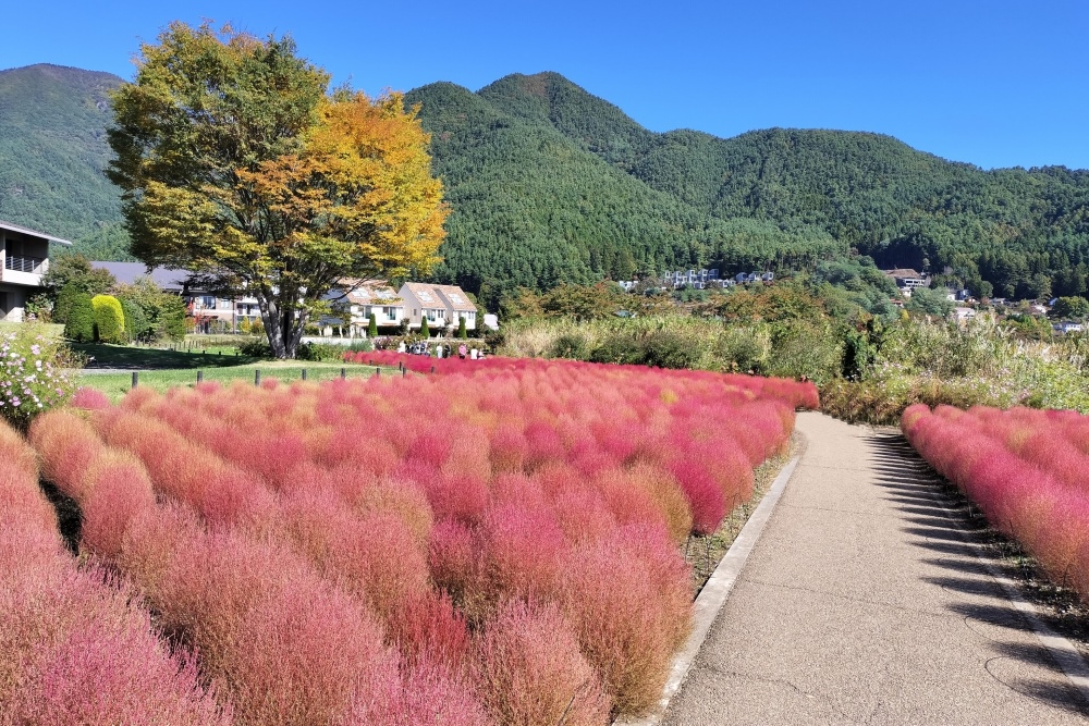 大石公園