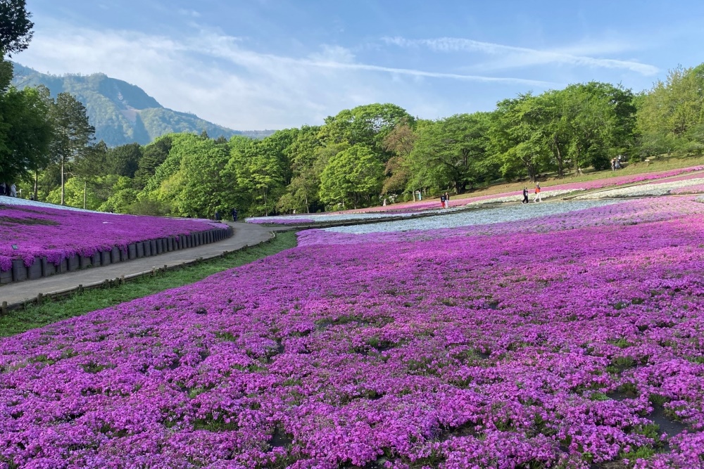 １．秩父は都心から日帰りで行ける人気の観光地！