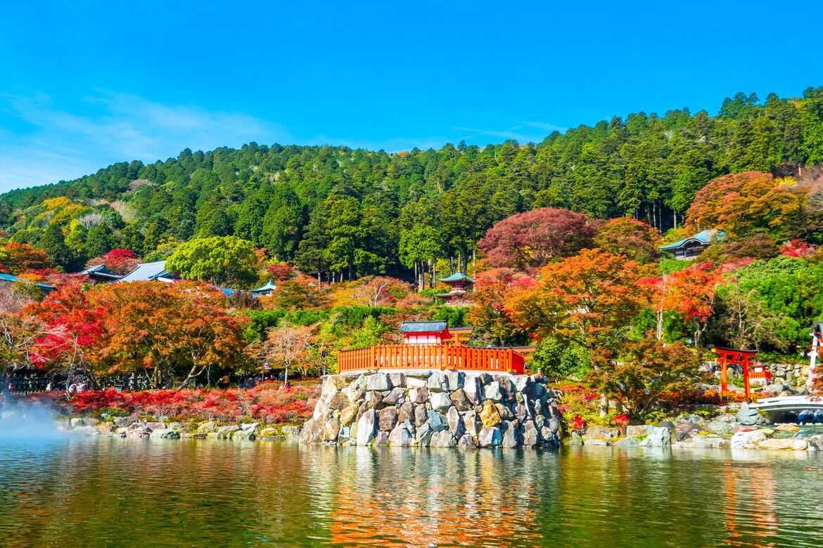 【大阪】“勝ちダルマ”と自然が織りなす紅葉「勝尾寺」