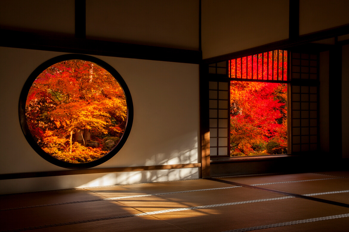 【関西】この秋行きたい！美しい紅葉が見られる絶景スポット8選