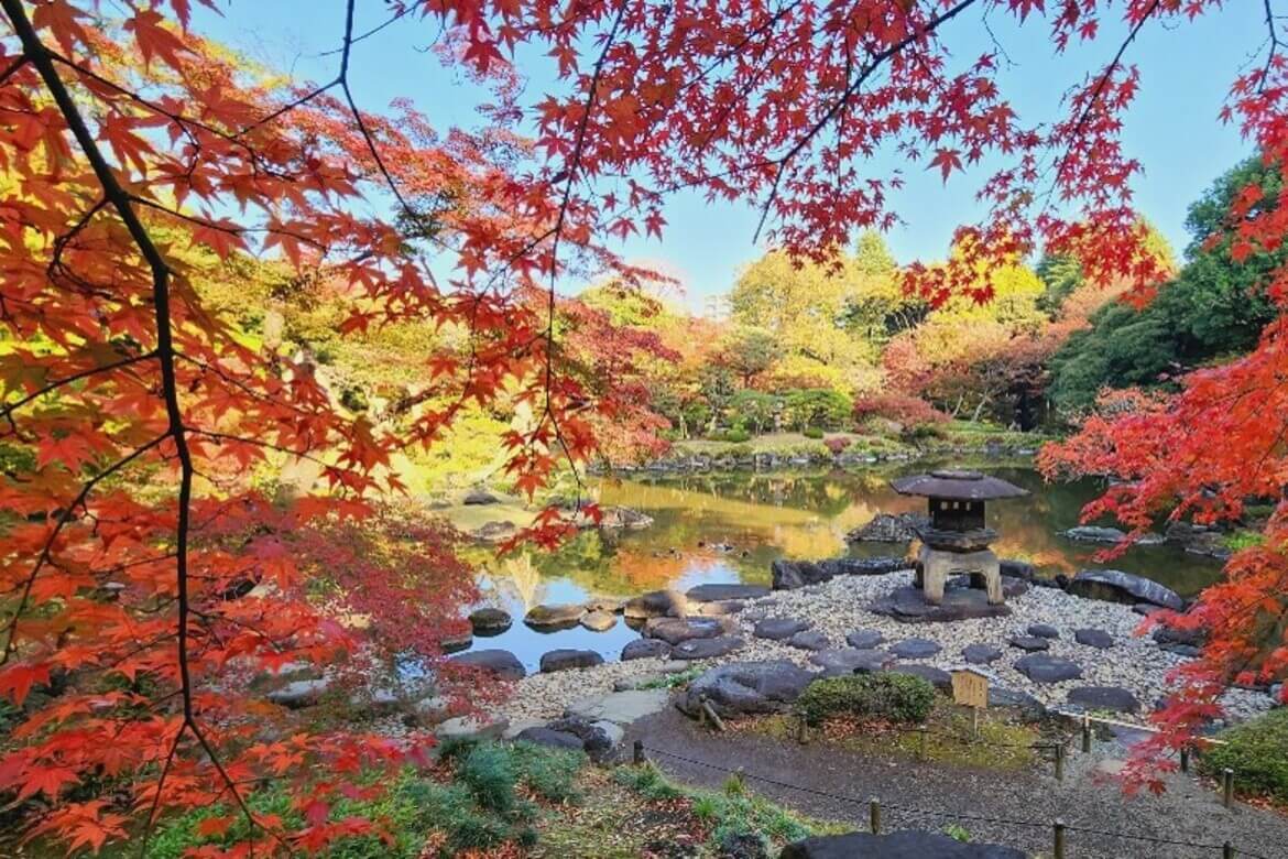 彩り鮮やかな秋の庭、東京・旧古河庭園「紅葉とバラ、和と洋の秋」11/9より開催