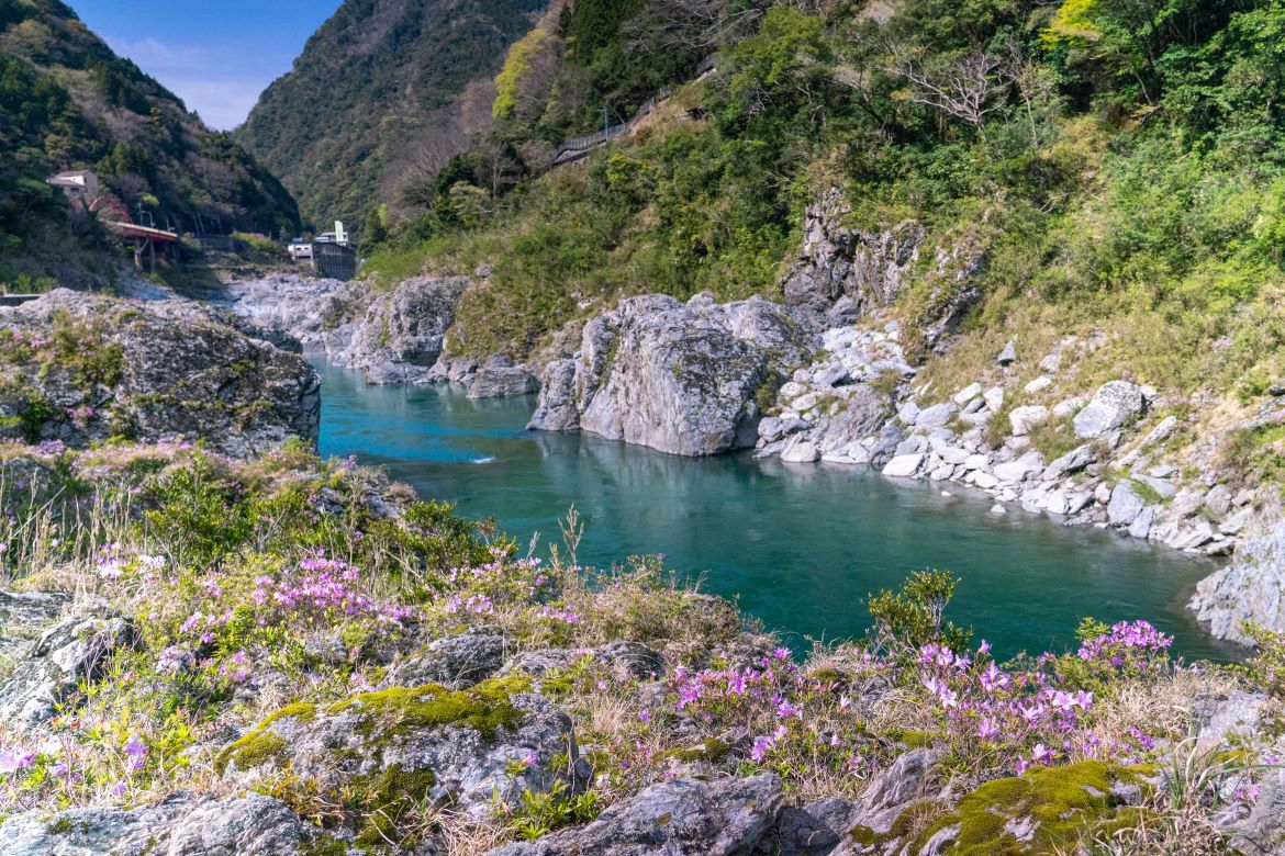 自然が織りなす絶景の渓谷「大歩危」