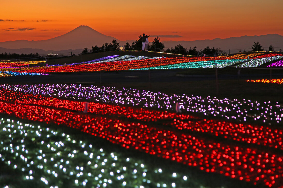 標高約300ｍからの絶景イルミネーション「マザー牧場 イルミネーション 光の花園 ～絵本の世界～」開催