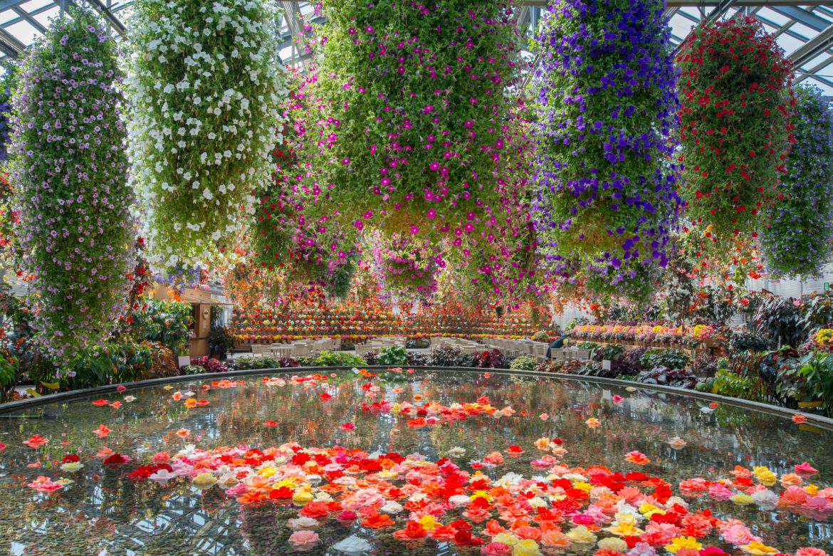 三重・桑名ドライブ ｜ 季節の花と絶景が迎える特別なひととき