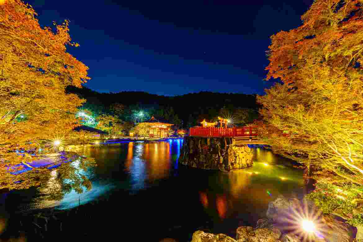 大阪府箕面市「勝尾寺」、期間限定の夜間紅葉ライトアップ11/9より実施！専用シャトルバス運行も