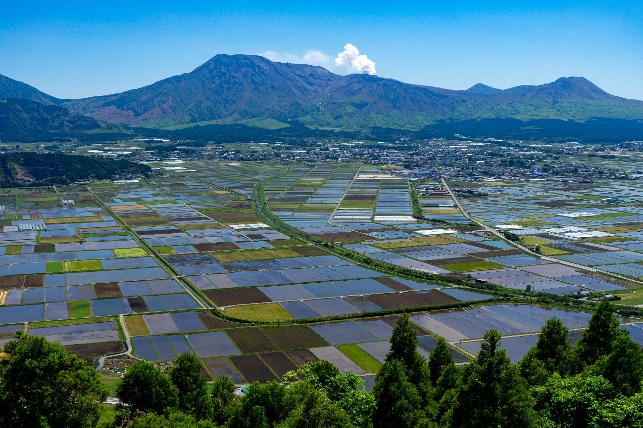 ③城山展望所