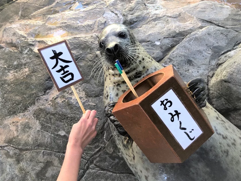 しながわ水族館「しな水のお正月2025」12月28日より開催 ｜ お正月をテーマに様々なイベントで新春をお祝い！