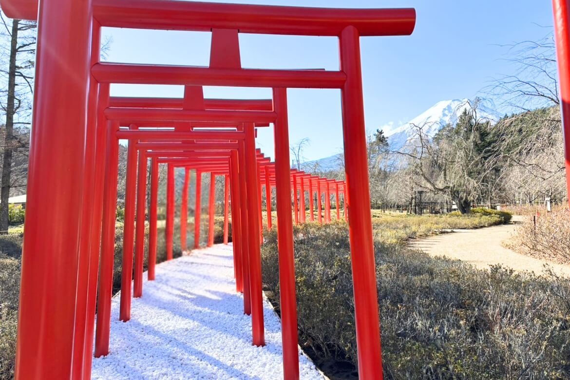 山梨「忍野 しのびの里」、雄大な富士山を背景に朱色の鳥居が連なるフォトスポット『絶景千本鳥居』誕生