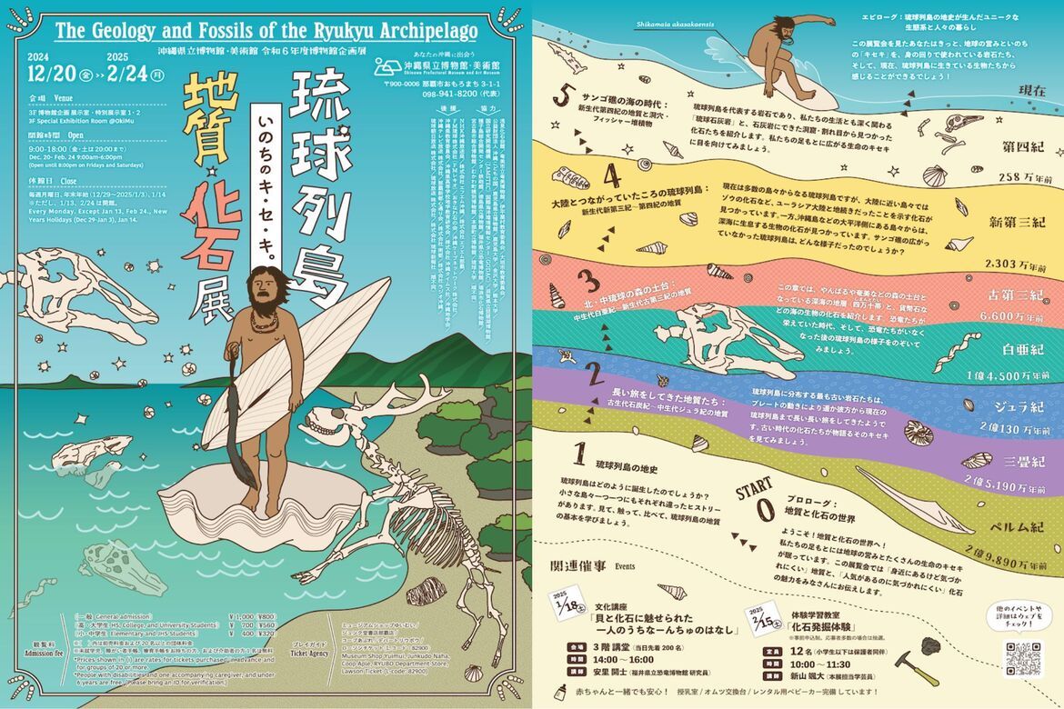 沖縄県立博物館・美術館（おきみゅー）「琉球列島 地質・化石展 いのちのキ・セ・キ」開催中