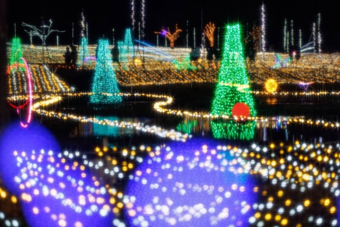 長野県内最大級のイルミネーション、国営アルプスあづみの公園「Winter Illumination 2024」開催中