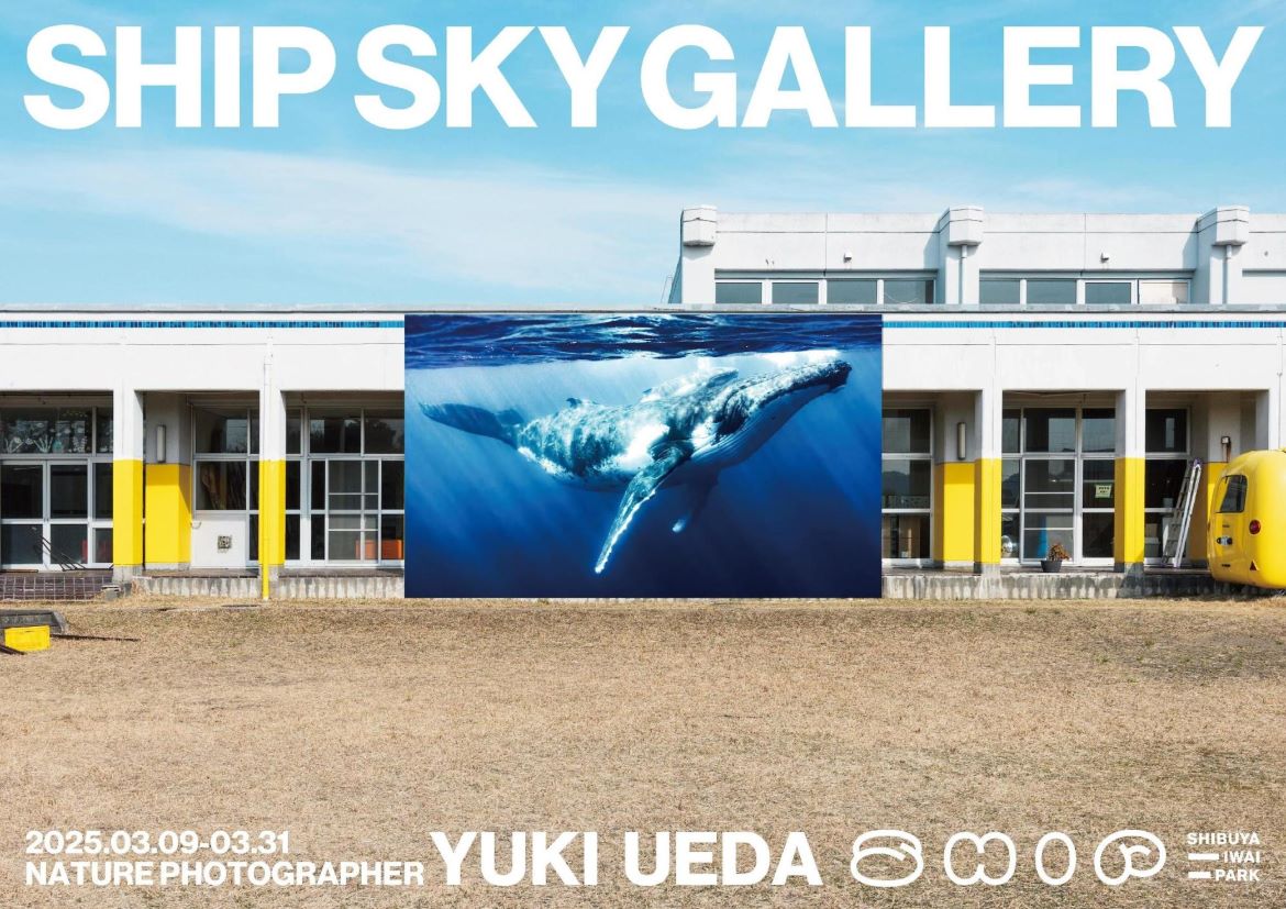 FUSION、Nature Photographer上田優紀氏の作品を屋外に展示する「SHIP SKY GALLERY 青空動物写真展」を開催