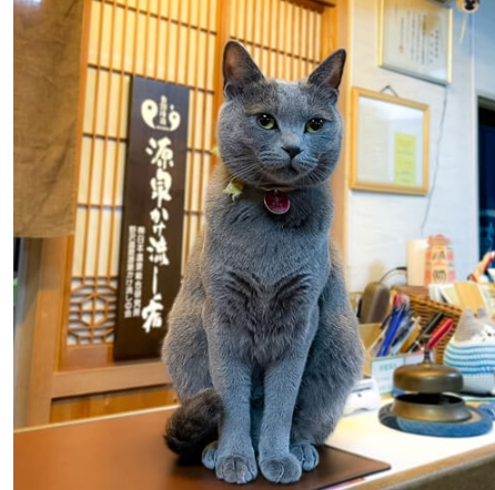 2位は長野県「野沢温泉　桐屋旅館」の「あずき」